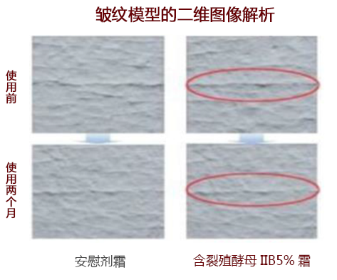 这是描述信息